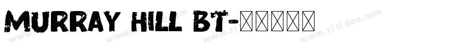 Murray Hill BT字体转换